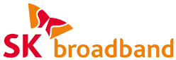 SK broadband